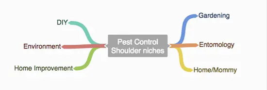 Shoulder Niche Ideas for Rank and Rent Websites